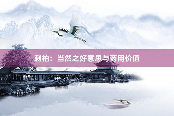 刺柏：当然之好意思与药用价值