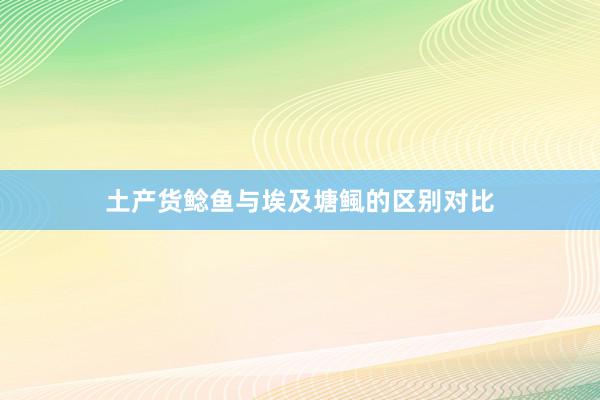 土产货鲶鱼与埃及塘鲺的区别对比