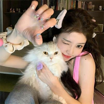 最强大脑第九季